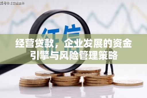 乌什经营贷款，企业发展的资金引擎与风险管理策略