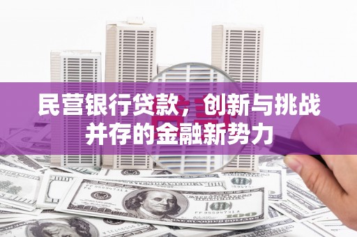 乌什民营银行贷款，创新与挑战并存的金融新势力