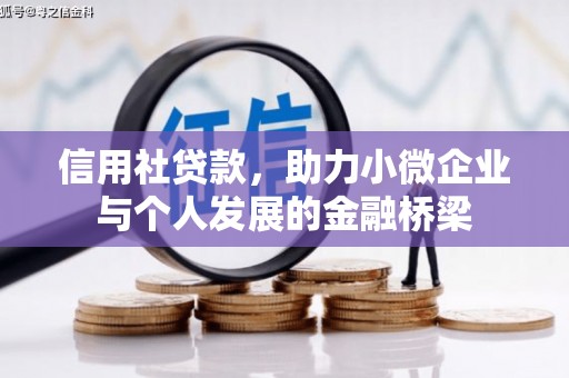 乌什信用社贷款，助力小微企业与个人发展的金融桥梁