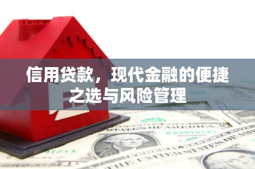 乌什信用贷款，现代金融的便捷之选与风险管理