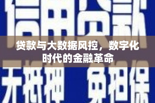 乌什贷款与大数据风控，数字化时代的金融革命