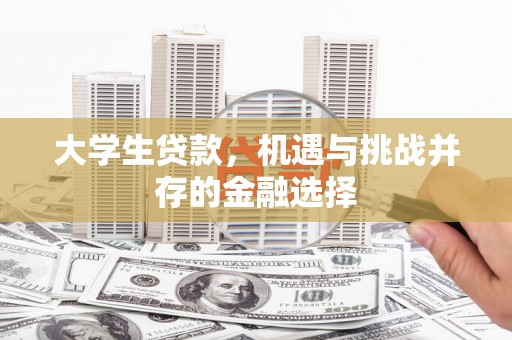 乌什大学生贷款，机遇与挑战并存的金融选择