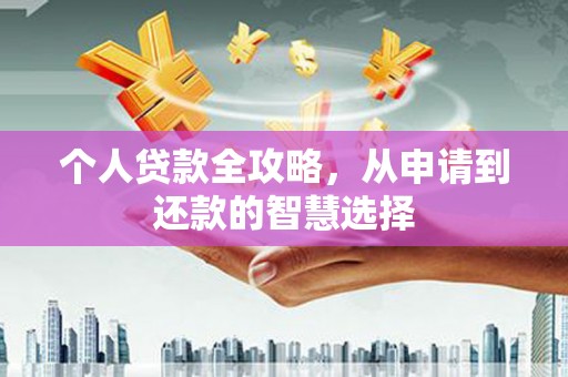 乌什个人贷款全攻略，从申请到还款的智慧选择