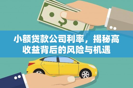 乌什小额贷款公司利率，揭秘高收益背后的风险与机遇