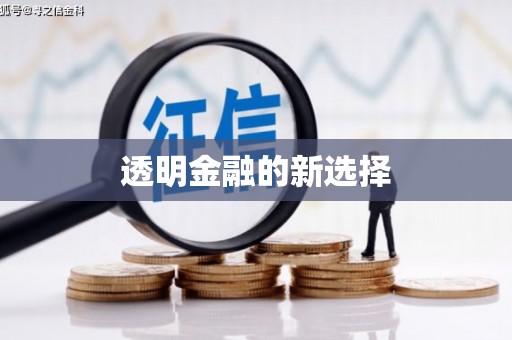 乌什透明金融的新选择