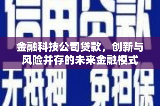 乌什金融科技公司贷款，创新与风险并存的未来金融模式