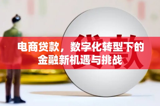 乌什电商贷款，数字化转型下的金融新机遇与挑战