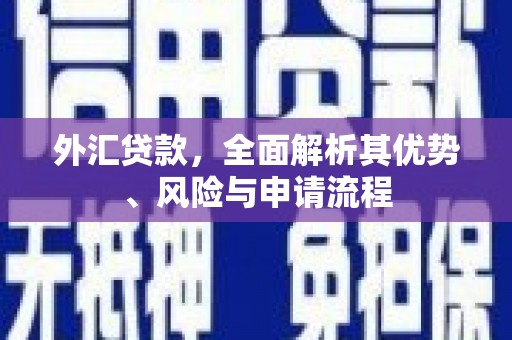 乌什外汇贷款，全面解析其优势、风险与申请流程