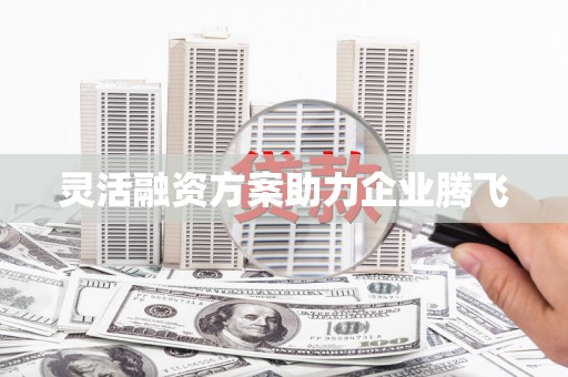 乌什灵活融资方案助力企业腾飞