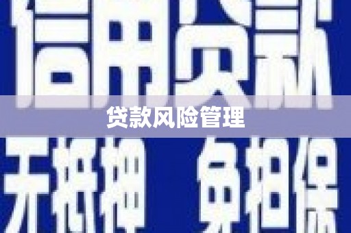 乌什贷款风险管理