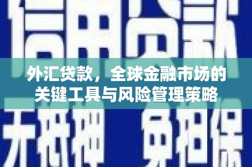 乌什外汇贷款，全球金融市场的关键工具与风险管理策略