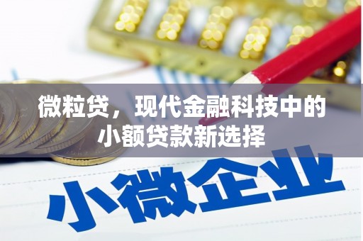 乌什微粒贷，现代金融科技中的小额贷款新选择