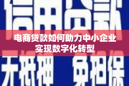 乌什电商贷款如何助力中小企业实现数字化转型