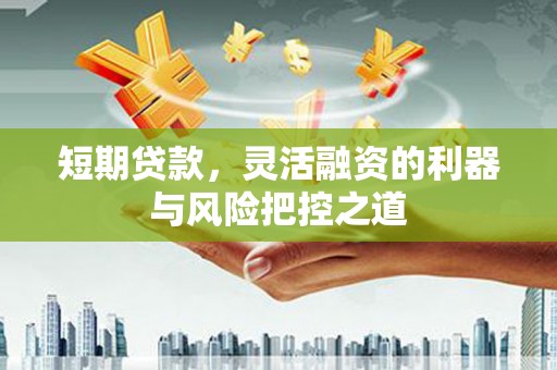 乌什短期贷款，灵活融资的利器与风险把控之道
