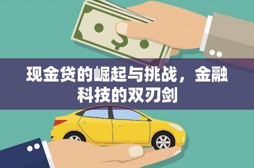 乌什现金贷的崛起与挑战，金融科技的双刃剑