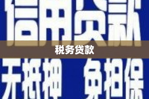 乌什税务贷款