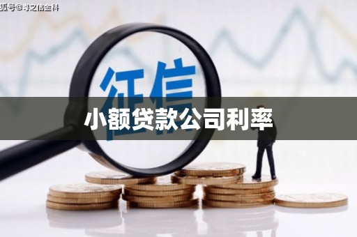 乌什小额贷款公司利率