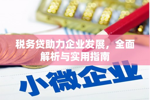 乌什税务贷助力企业发展，全面解析与实用指南