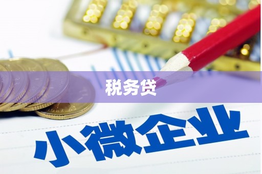 乌什税务贷