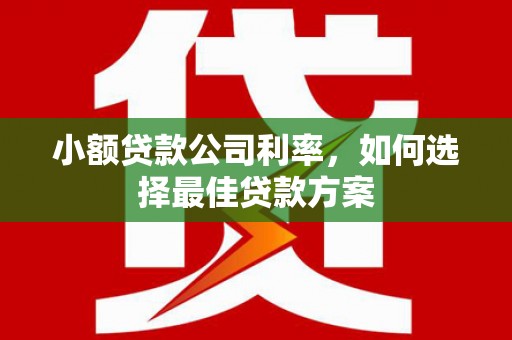 乌什小额贷款公司利率，如何选择最佳贷款方案