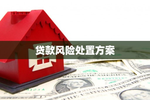 乌什贷款风险处置方案