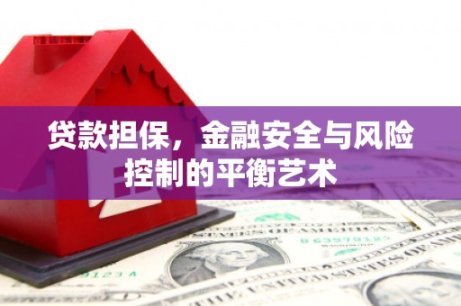 乌什贷款担保，金融安全与风险控制的平衡艺术