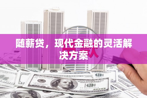 乌什随薪贷，现代金融的灵活解决方案