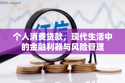 乌什个人消费贷款，现代生活中的金融利器与风险管理