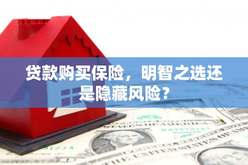 乌什贷款购买保险，明智之选还是隐藏风险？