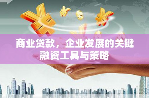 乌什商业贷款，企业发展的关键融资工具与策略