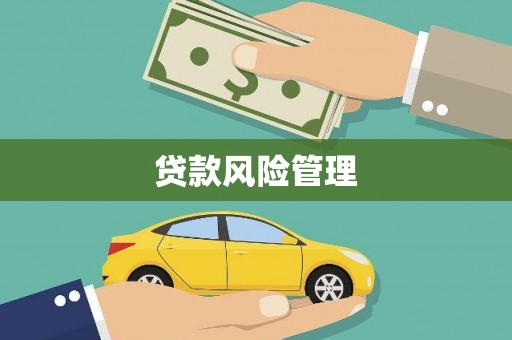 乌什贷款风险管理