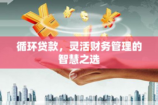 乌什循环贷款，灵活财务管理的智慧之选