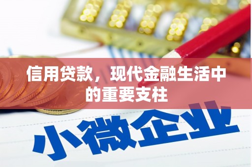 乌什信用贷款，现代金融生活中的重要支柱