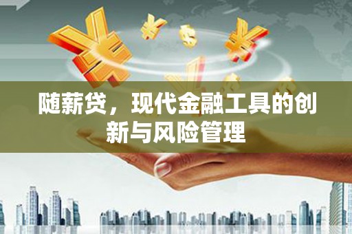 乌什随薪贷，现代金融工具的创新与风险管理