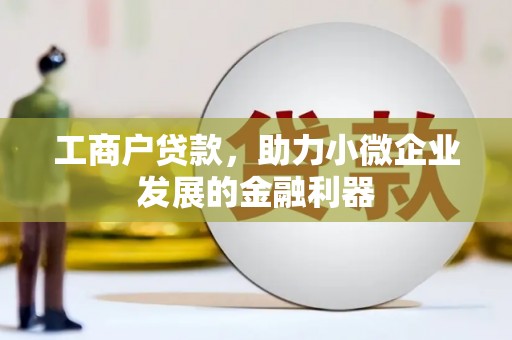 乌什工商户贷款，助力小微企业发展的金融利器