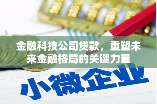 乌什金融科技公司贷款，重塑未来金融格局的关键力量