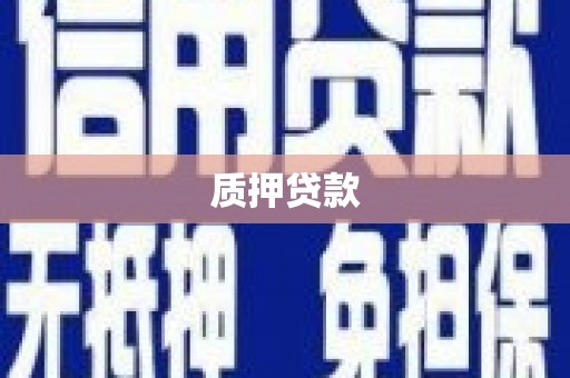 乌什质押贷款