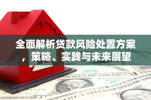 乌什全面解析贷款风险处置方案，策略、实践与未来展望