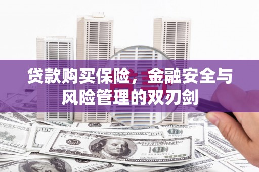 乌什贷款购买保险，金融安全与风险管理的双刃剑