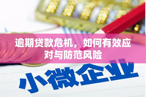 乌什逾期贷款危机，如何有效应对与防范风险