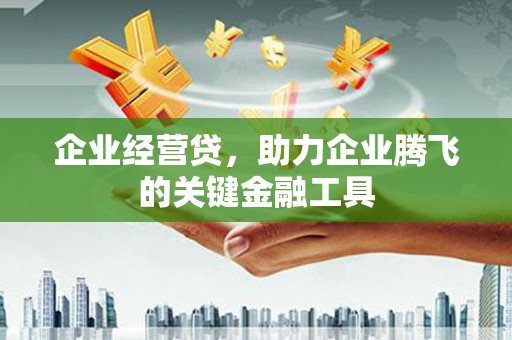 乌什企业经营贷，助力企业腾飞的关键金融工具
