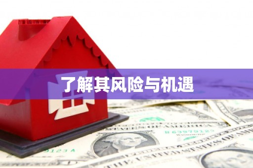 乌什了解其风险与机遇