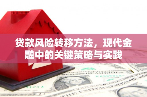 乌什贷款风险转移方法，现代金融中的关键策略与实践