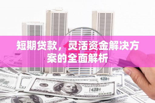 乌什短期贷款，灵活资金解决方案的全面解析