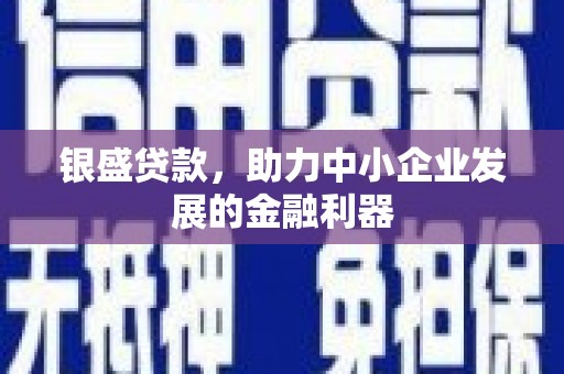 乌什银盛贷款，助力中小企业发展的金融利器