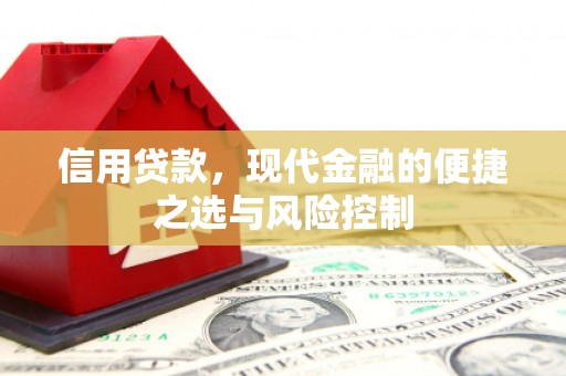 乌什信用贷款，现代金融的便捷之选与风险控制