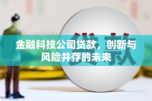 乌什金融科技公司贷款，创新与风险并存的未来