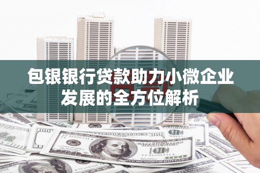 乌什包银银行贷款助力小微企业发展的全方位解析 乌什包银银行贷款助力小微企业发展的全方位解析