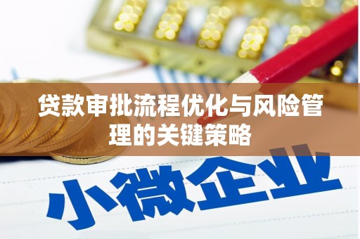 乌什贷款审批流程优化与风险管理的关键策略