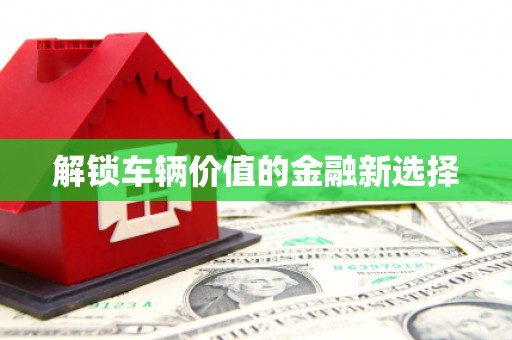 乌什解锁车辆价值的金融新选择